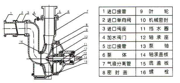 ZW型自吸式无堵塞排污泵（结构图）