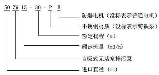 ZW型自吸式无堵塞自吸泵型号